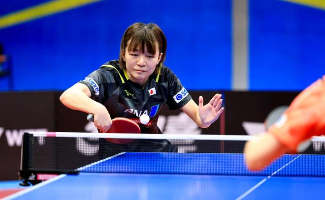 观众们的热 观众们的热